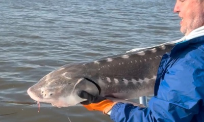 Pacific Coast Report Video 3