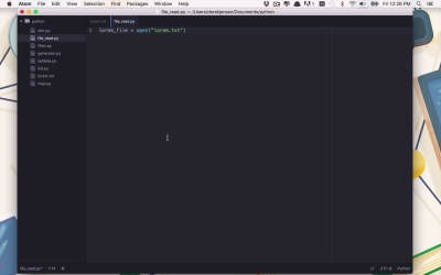 Data Handling With Python - File Basics