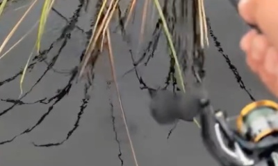 Clewiston Report Video 1