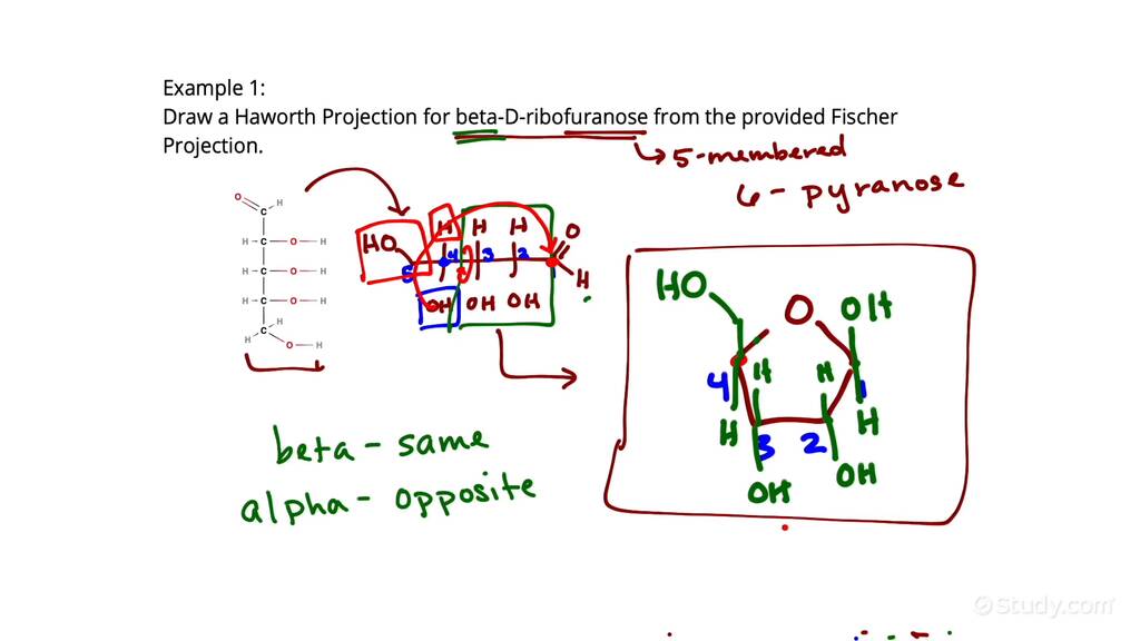 Drawing the Haworth Projection of an Aldose from Its Fischer Projection
