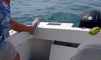 Rapport vidéo Baja California Sur 1