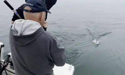 Barnstable Report Video 0