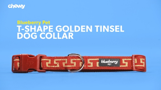 Blueberry Pet T-Shape Golden Tinsel Dog Collar