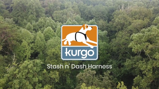 Play Video: Learn More About Kurgo From Our Team of Experts