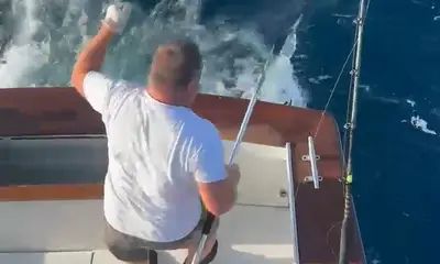 Wanchese Report Video 0