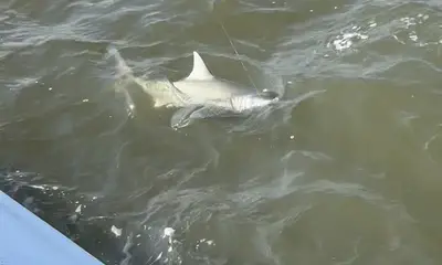 Awesome day on the water