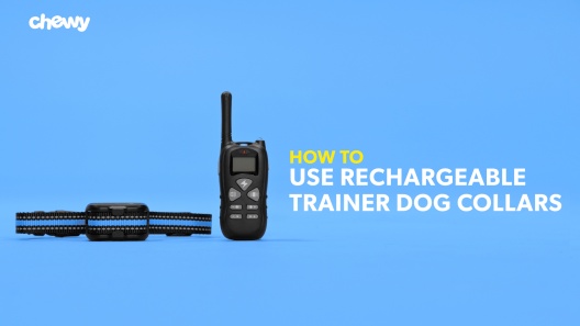 Play Video: Learn More About Trainer Dog Collar From Our Team of Experts