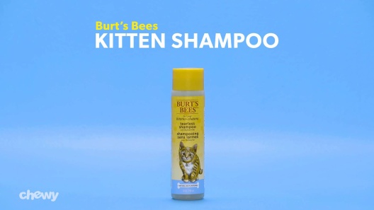 Play Video: Learn More About Burt's Bees From Our Team of Experts