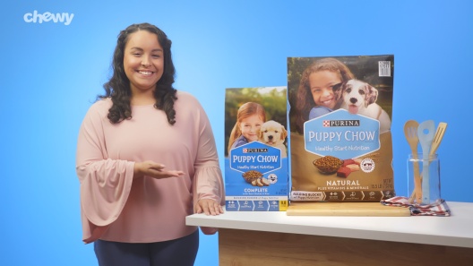 Play Video: Learn More About Puppy Chow From Our Team of Experts