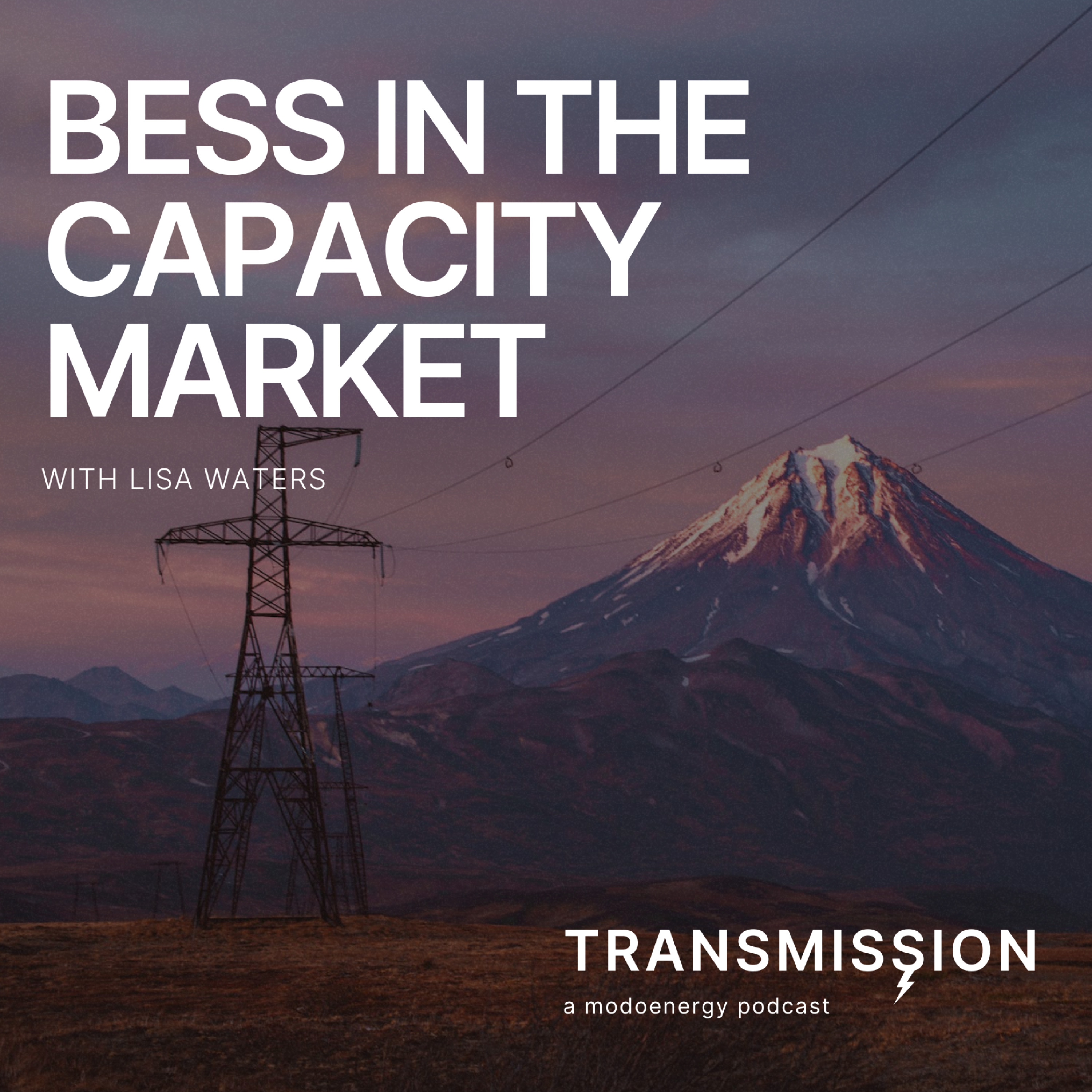 Regulation changes and BESS in the Capacity Market with Lisa Waters (Director @ Waters Wye Associates) - podcast episode cover