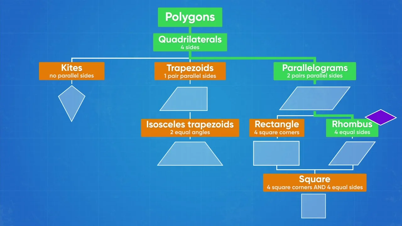 classify shapes in a hierarchy 3rd 4th 5th grade