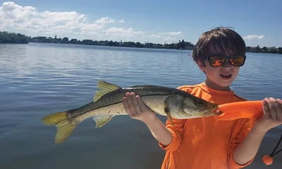Tampa Report Video 0