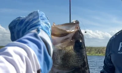 South Bay Report Video 0
