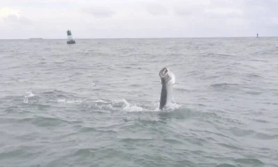 Miami Report Video 0