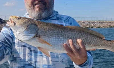 San Antonio Report Video 0