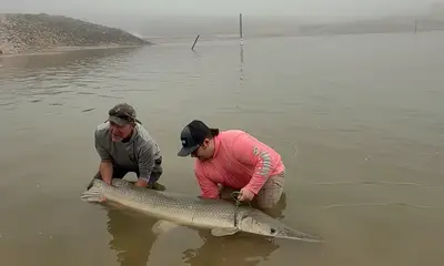 West Livingston Report Video 1