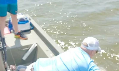 Bull Redfish