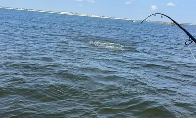 Jacksonville Report Video 0