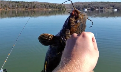 Tega Cay Report Video 4