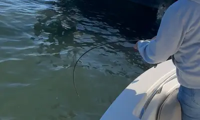 Biloxi Report Video 1
