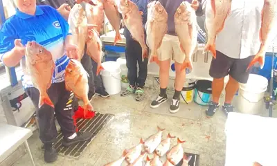 Melbourne Report Video 0