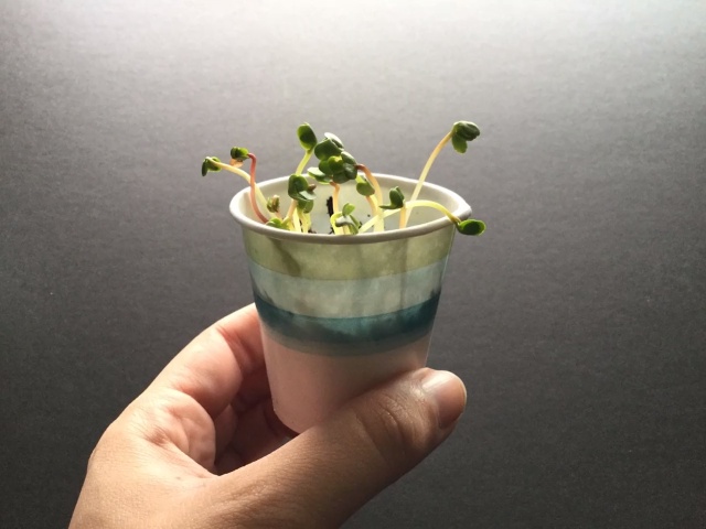 2nd-Grade-Plants_Revision-2020_V5-ActIntro-SMALLER-FILE