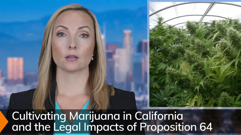 The Biggest Threat to Growing Marijuana in California Used to Be