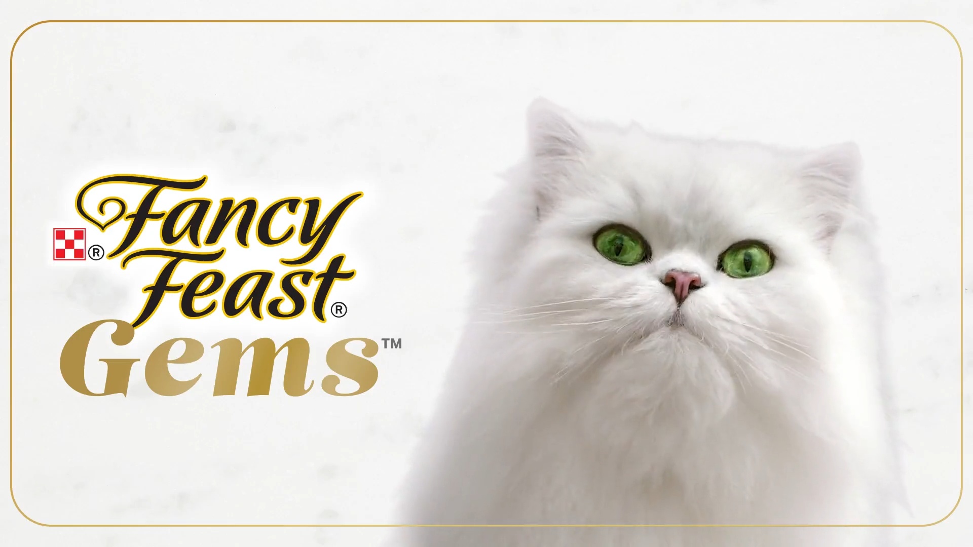 FANCY FEAST Gems Mousse Chicken a Halo of Savory Gravy Pate Wet