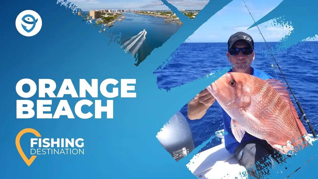 Fishing in ORANGE BEACH: The Complete Guide