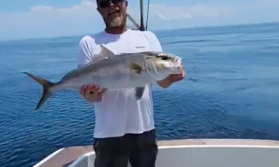 Norfolk Report Video 0