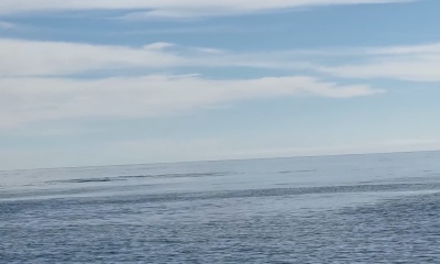 MEGA FISHING TRIP!!!!!!   