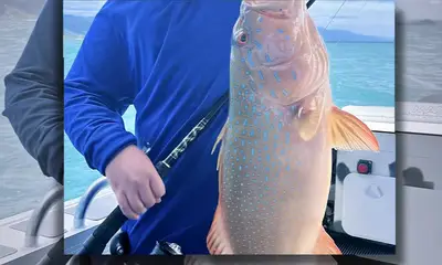 Port Douglas Report Video 0