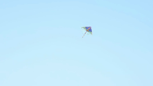 Jespet Goopaws Car Travel Dog Booster Seat