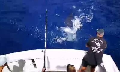 Costa Adeje Report Video 3