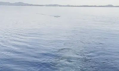 British Columbia Report Video 2