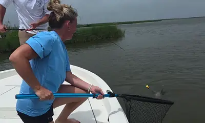 Rapport vidéo Venice 1