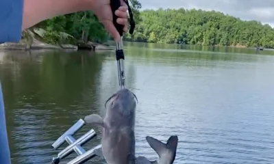 Winnsboro Report Video 1