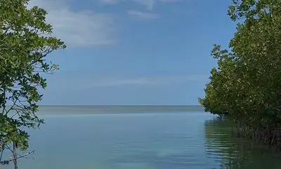 Like Boating with a Friend!