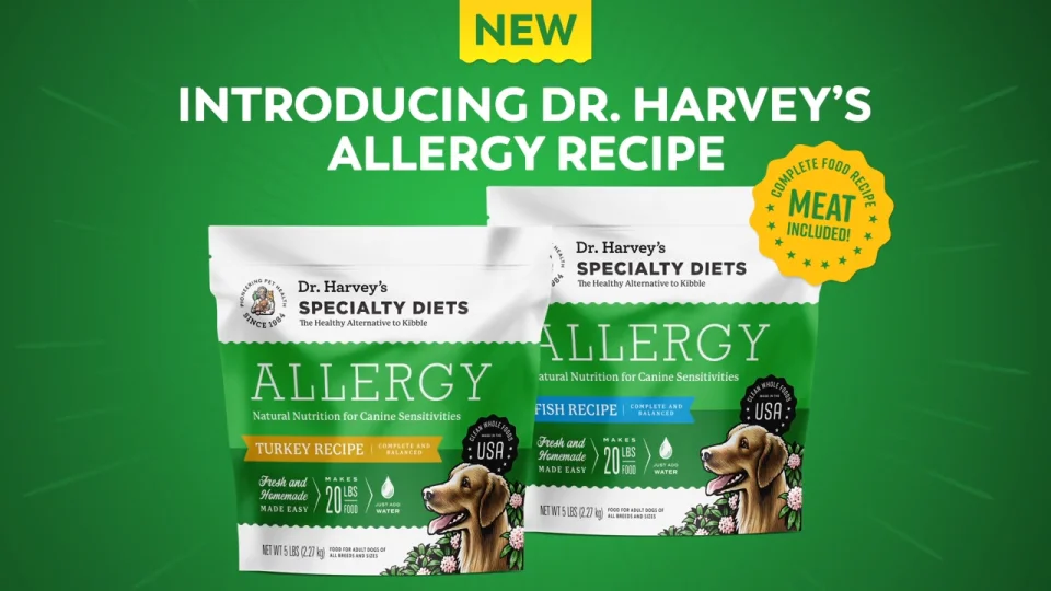 a dog food that is good for allergies