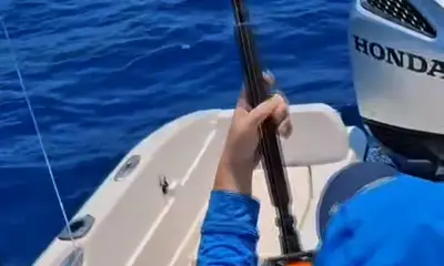 Herradura Verslag Video 0