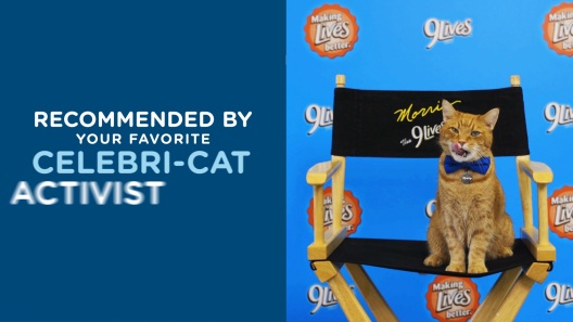 9 Lives Pate Favorites Variety Pack Canned Cat Food