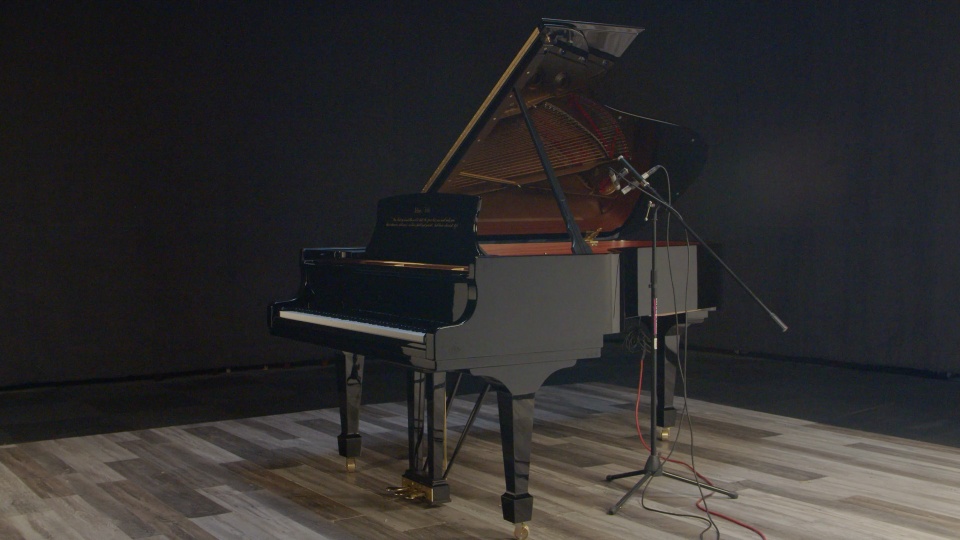 2021 Steinway Grand B Spirio