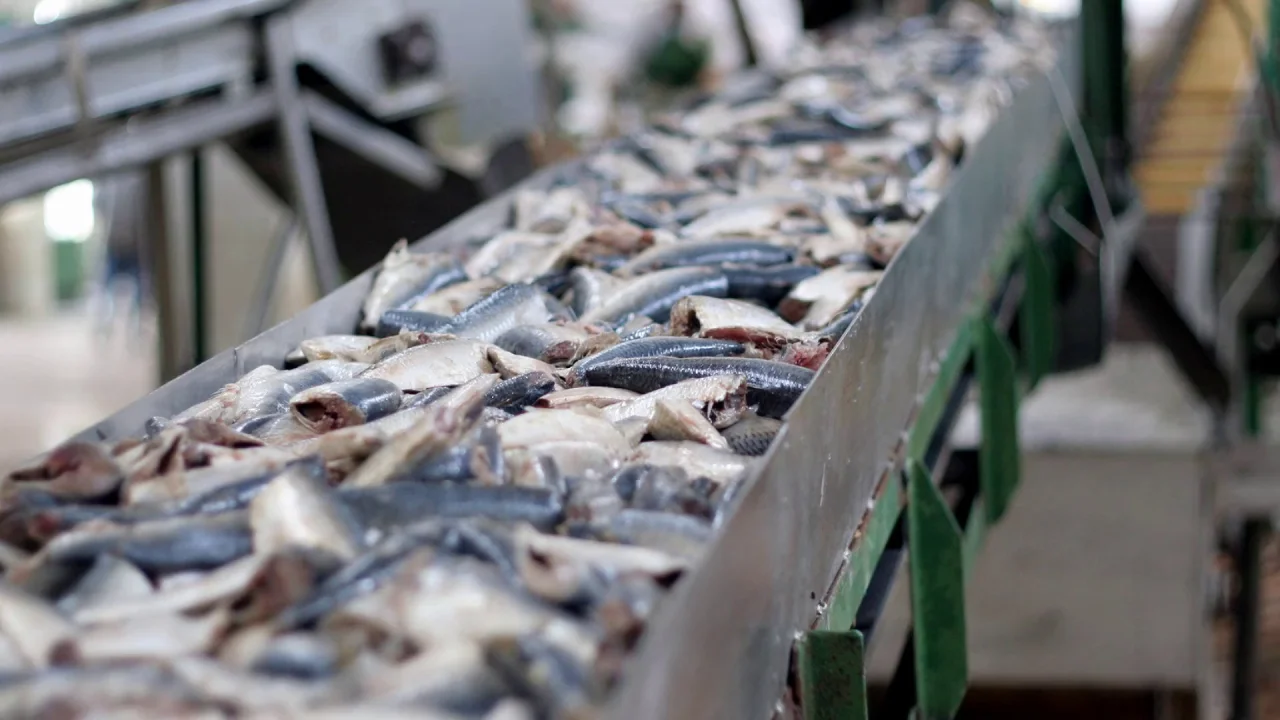 Seafood Waste Processing - JWC Environmental