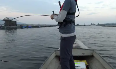 Bangkok Report Video 0