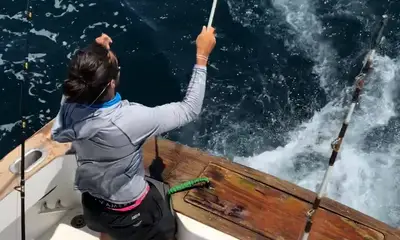 Destin Report Video 0