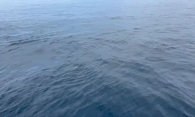 Best Fishing Trip 