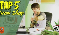 Top 5 con las mejores tiendas grow shop