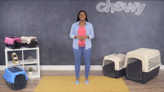 Play Video: Learn More About Frisco From Our Team of Experts