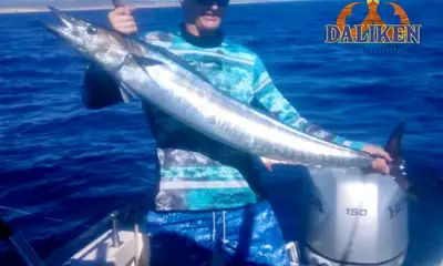 San Jose del Cabo Report Video 0