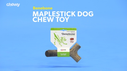 Play Video: Learn More About Benebone From Our Team of Experts